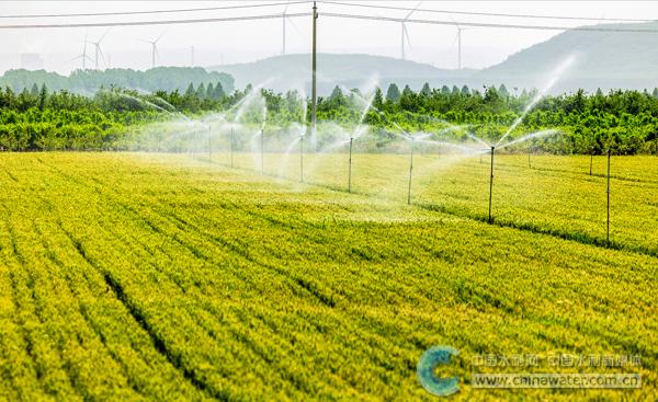 屯留區(qū)崗上村對(duì)農(nóng)田開展噴灌作業(yè) 本報(bào)通訊員 蘭望極 攝