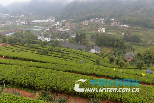 ��ɽ��ˮ �a(ch��n)�I(y��)�o(h��)ˮ����a(ch��n)�I(y��)����(d��ng)�����¸� ��ؐ.jpg