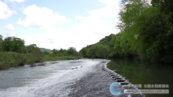 花園店堨 吳雪靈 攝.png