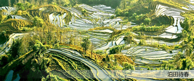 ��퓴�Dģ�� ��ؐ.jpg