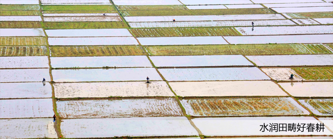 ���(y��)��Dģ�� ��ؐ.jpg