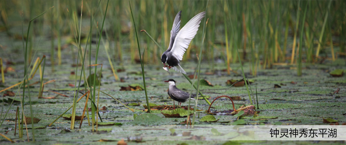 ���(y��)��Dģ�� ��ؐ.jpg