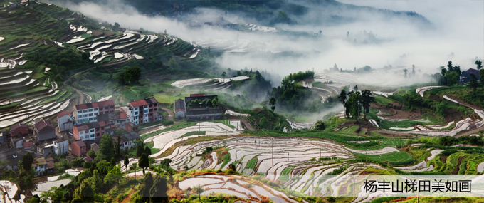 ���(y��)��Dģ�� ��ؐ.jpg