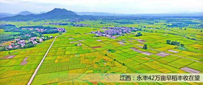 ��퓴�Dģ�� ��ؐ.jpg