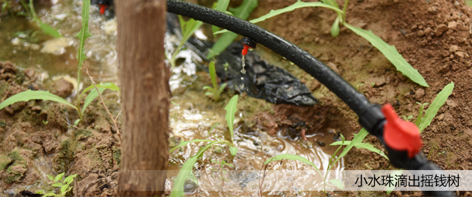 ��퓴�Dģ�� ��ؐ.jpg