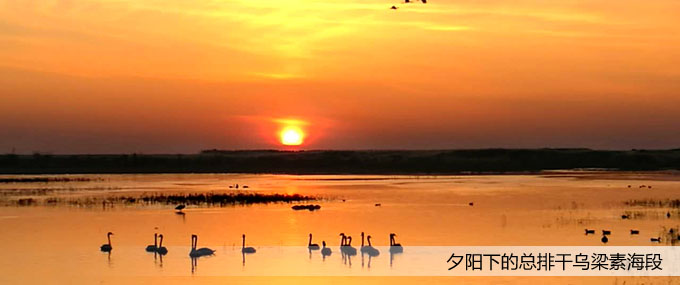 ���(y��)��Dģ��1 copy.jpg