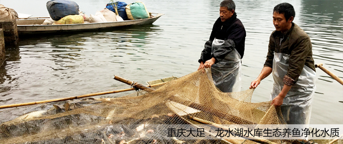 ��퓴�Dģ�� ��ؐ.jpg