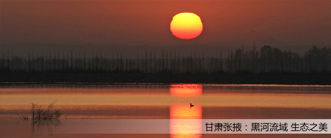 ��퓴�Dģ�� 1��ؐ.jpg