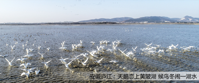 ���(y��)��Dģ�� ��ؐ.jpg