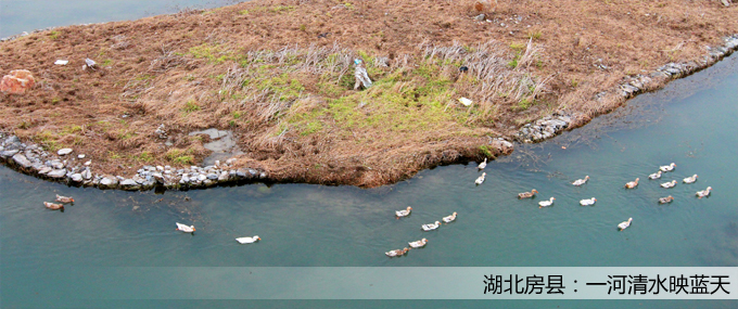 ���(y��)��Dģ�� ��ؐ.jpg